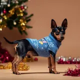 sweter-dla-psa-stitch-rodzaj-inny