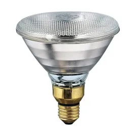 zarowka-zarowa-philips-e27-175-w