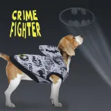 bluza-dla-psa-batman-m-czarny-rodzaj-inny