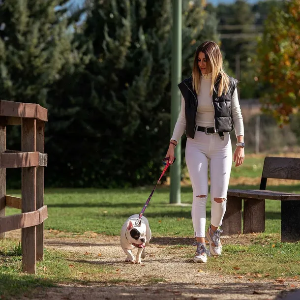 smycz-dla-psa-dc-pets-niebieski-stan-nowy-rodzaj-inny