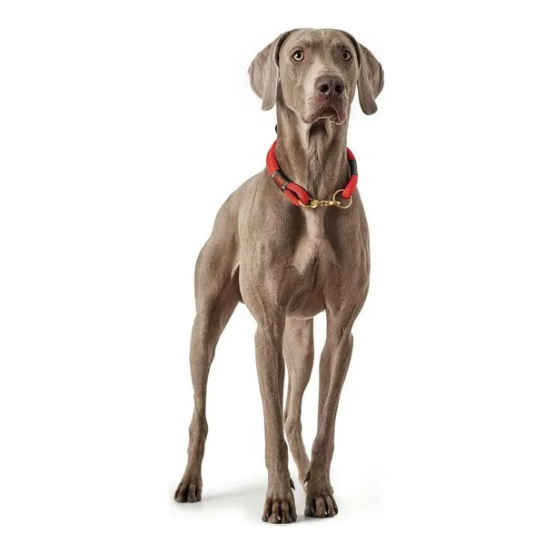 obroza-dla-psa-hunter-oss-czerwony-40-cm-rodzaj-inny