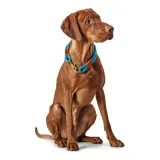 obroza-dla-psa-hunter-oss-niebieski-30-cm-material-inny-material