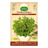 nasiona-agreen-mieta-ekologiczne