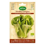 nasiona-agreen-lechuga-ekologiczne