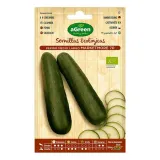 nasiona-agreen-ekologiczne-ogorek
