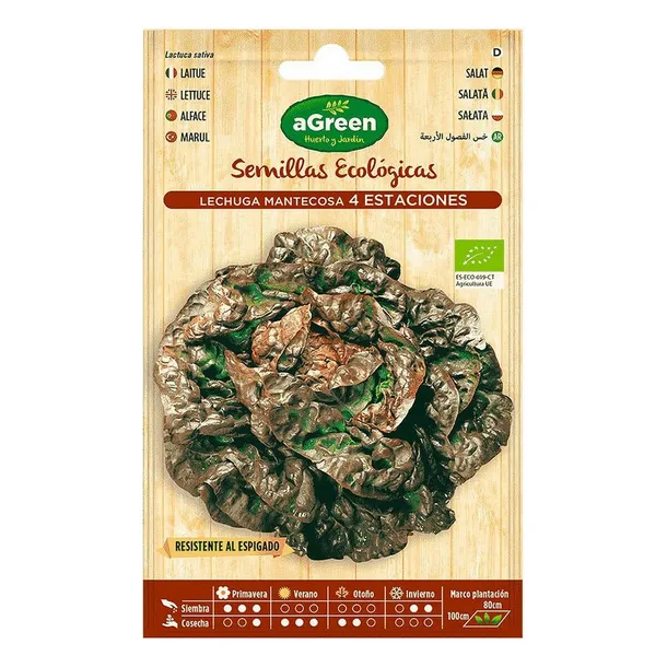 nasiona-agreen-ekologiczne-salata