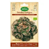 nasiona-agreen-ekologiczne-salata