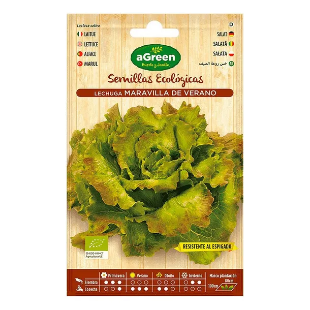 nasiona-agreen-ekologiczne-salata