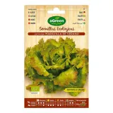 nasiona-agreen-ekologiczne-salata