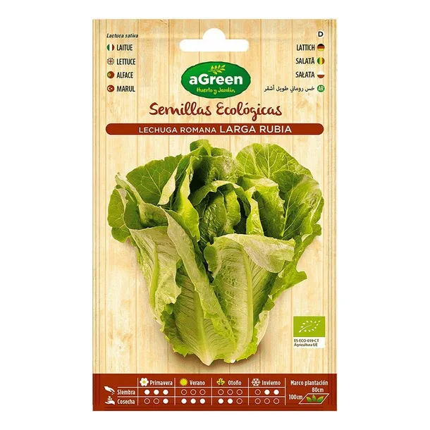 nasiona-agreen-lechuga-ekologiczne
