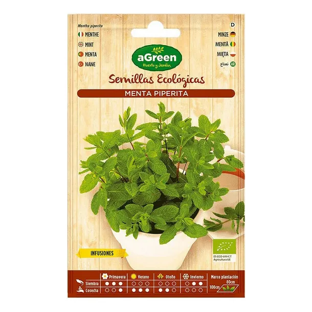 nasiona-agreen-mieta-ekologiczne