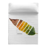 narzuta-leaf-pantone