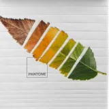 narzuta-leaf-pantone-material-wykonania-inny