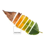 narzuta-leaf-pantone-material-wykonania-inny-stan-nowy