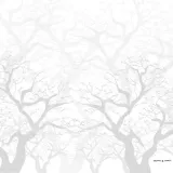 narzuta-bonsai-devota-and-lomba-material-wykonania-inny