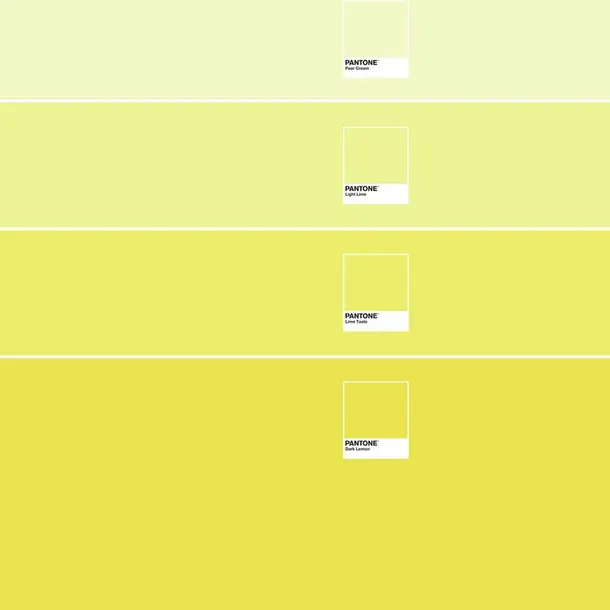 narzuta-ombre-c-pantone-material-wykonania-inny