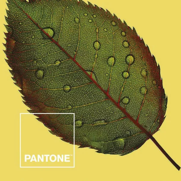 narzuta-nature-pantone-material-wykonania-inny-stan-nowy