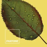 narzuta-nature-pantone-material-wykonania-inny-stan-nowy