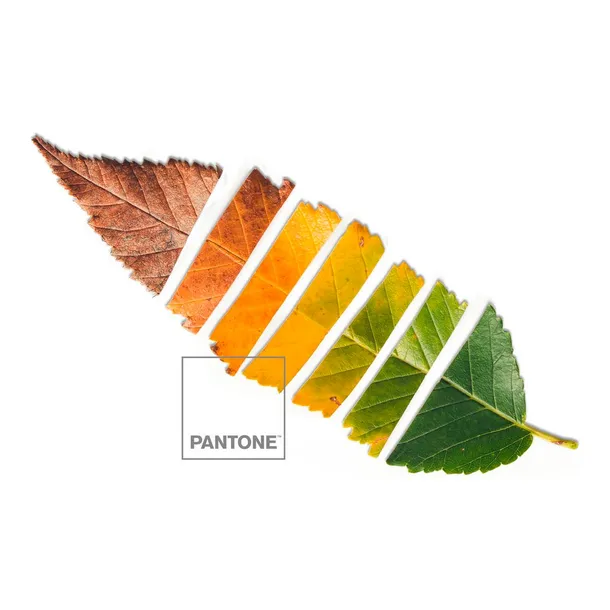 poszwa-na-koldre-leaf-pantone-bohater-inny