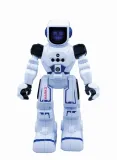 robot-sterowany-marko-kodowanie-buki-stan-nowy