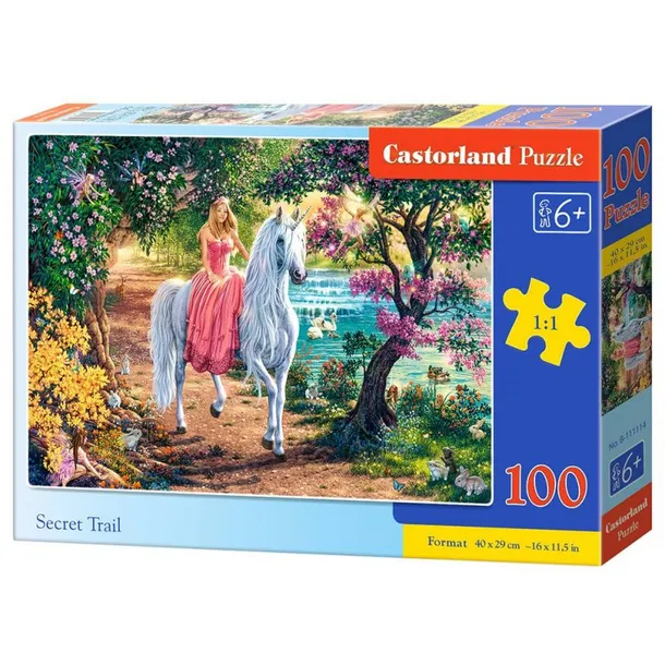 puzzle-100-secret-trail