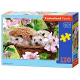 puzzle-120el-springtime