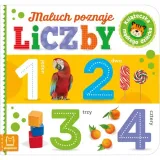 maluch-poznaje-liczby