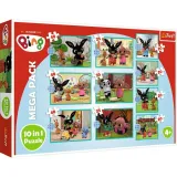puzzle-10w1-co-robi-bing