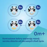 interakt-sens-zab-leniwiec-stan-nowy
