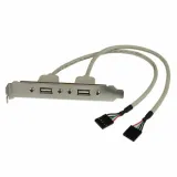 kabel-usb-startech-usbplate-idc-usb-a-srebro-stan-nowy