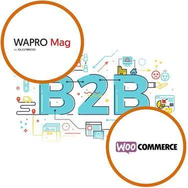 platforma-b2b-dla-wapro-mag-woocommerce-360-dni