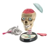 clementoni-50697-new-human-body-stan-nowy