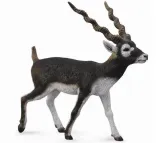 collecta-88638-antylopa-blackbuck