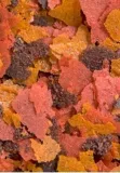 on-discus-flake-34g-waga-z-opakowaniem-0-1-kg