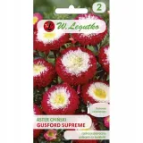 aster-chinski-gusford-supreme-05-g