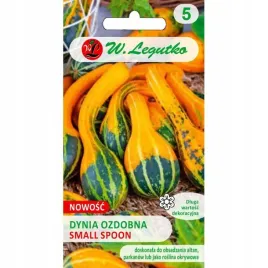 dynia-ozdobna-small-spoon-1-g