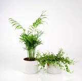 cylinder-white-polnix