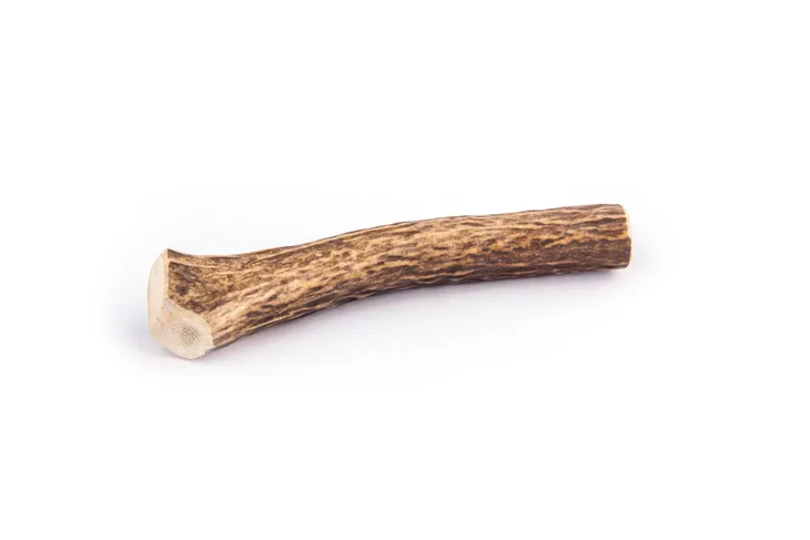 4dogs-gryzak-s-hard-10cm-stan-nowy