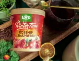 winter-time-rosehip-raspberry-herbata-lisciasta-marka-loyd