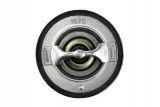 nty-termostat-ctm-ch-005-dodge-caliber-jakosc-czesci-zgodnie-z-gvo-q-oryginal-z-logo-producenta-czesci-oem-oes