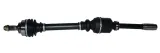 polos-citroen-c4-2-0-2005-prawa