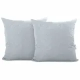 chp-axel-silver-40x40-2