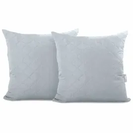 chp-axel-silver-40x40-2