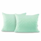 chp-axel-mint-50x60-2