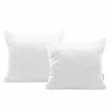 chp-amber-white-50x50-2