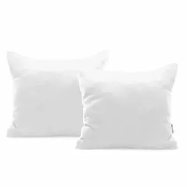 chp-amber-white-50x50-2