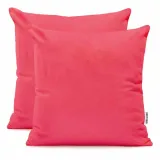 chp-amber-raspberry-80x80-2