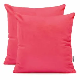 chp-amber-raspberry-80x80-2