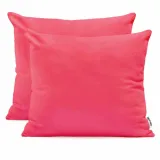 chp-amber-raspberry-50x60-2