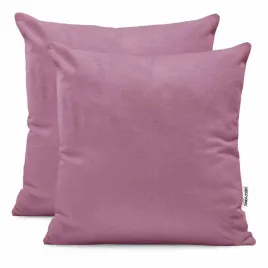 chp-amber-plum-80x80-2